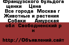 Французского бульдога щенки  › Цена ­ 35 000 - Все города, Москва г. Животные и растения » Собаки   . Амурская обл.,Свободненский р-н